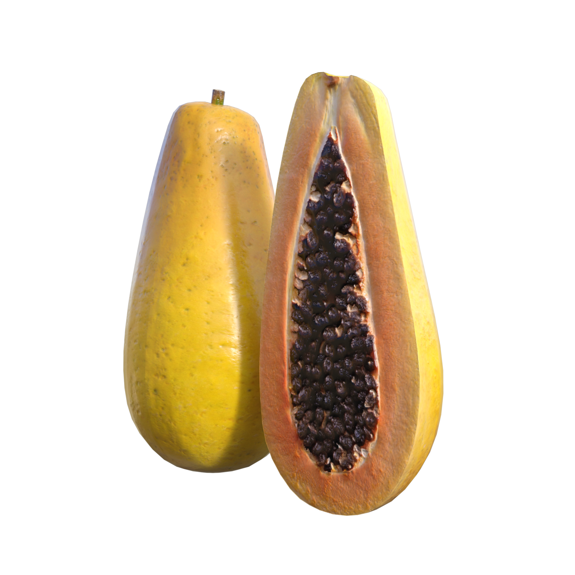 Papaya isoalted 3d rendering 21506251 PNG