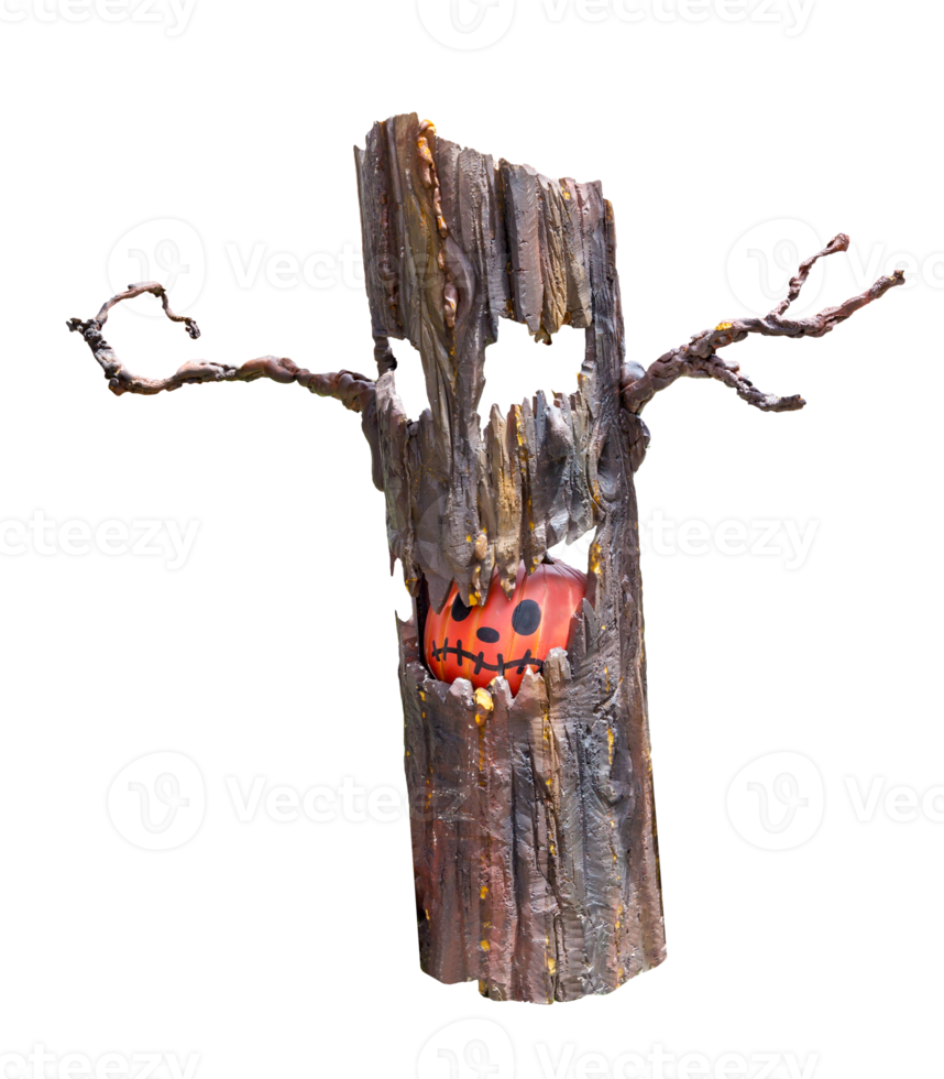 Halloween pumpkin in tree isolated png