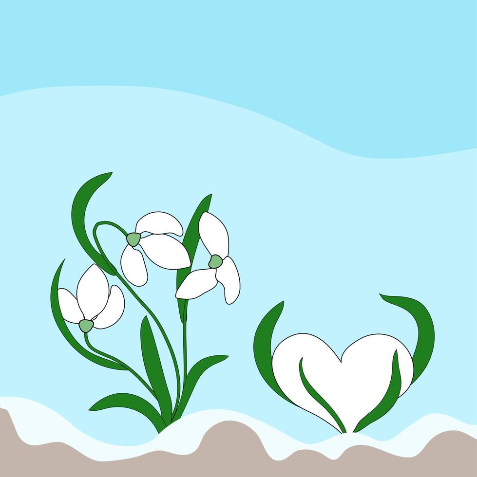 Snowdrops and Heart like snowdrops growing from the soil. Vector illustration. First spring flowers.