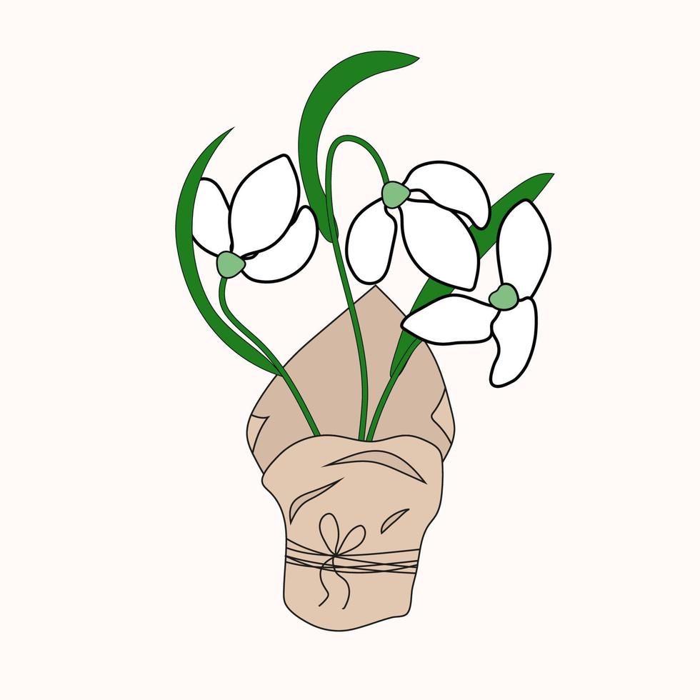 Snowdrops in paper packaging tied with a string. Delicate vector flowers for design. Isolated object