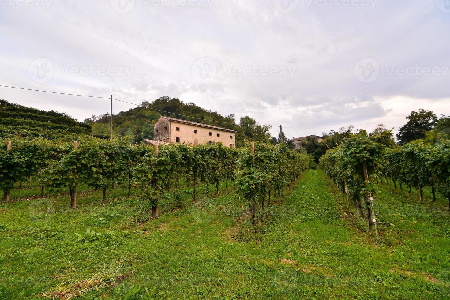 Scenic rural landscape photo