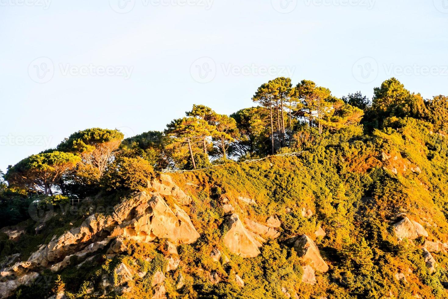 Scenic rural landscape photo