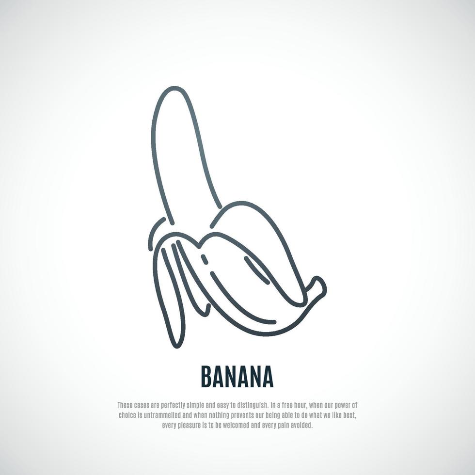 Vector illustration of open banana. Healthy food symbol. Banana icon in thin line style.