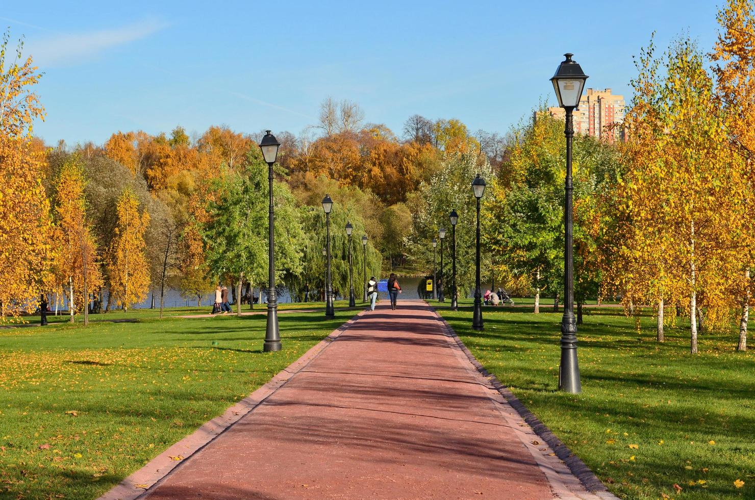 escénico otoño paisaje. hermosa naturaleza antecedentes. foto