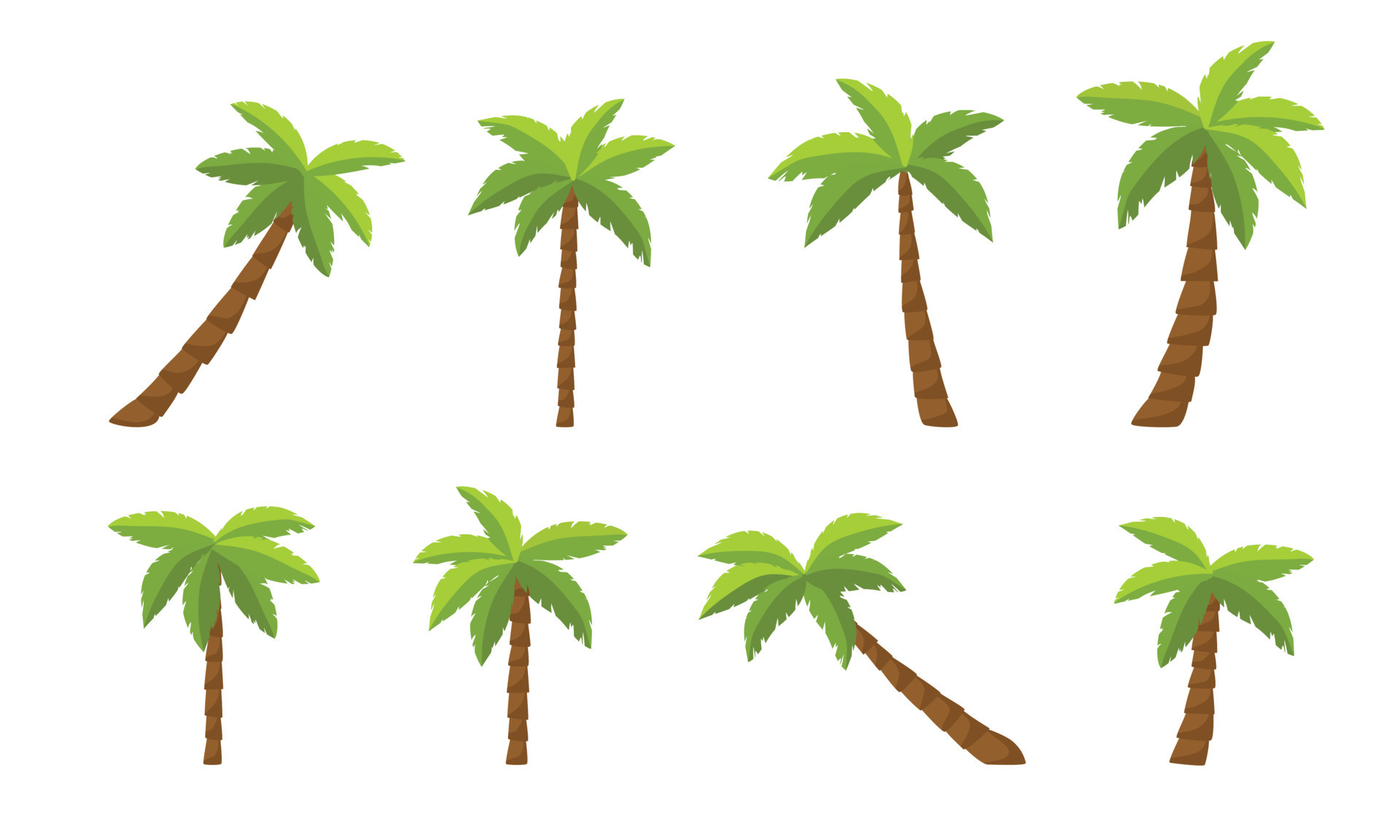 A cartoon drawing of palm trees. Set of palm trees. Vector illustration