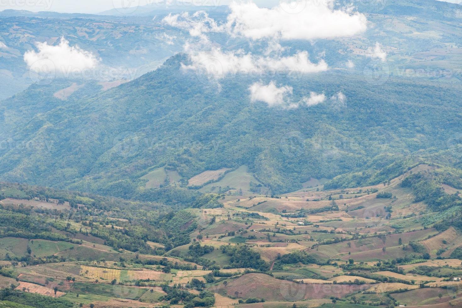 The plantation field of the local farmer  near the high mountain range. photo