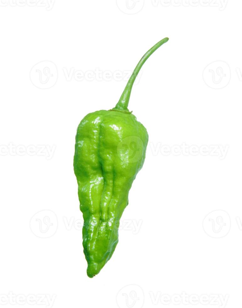 green chilli pepper isolated on white background. photo
