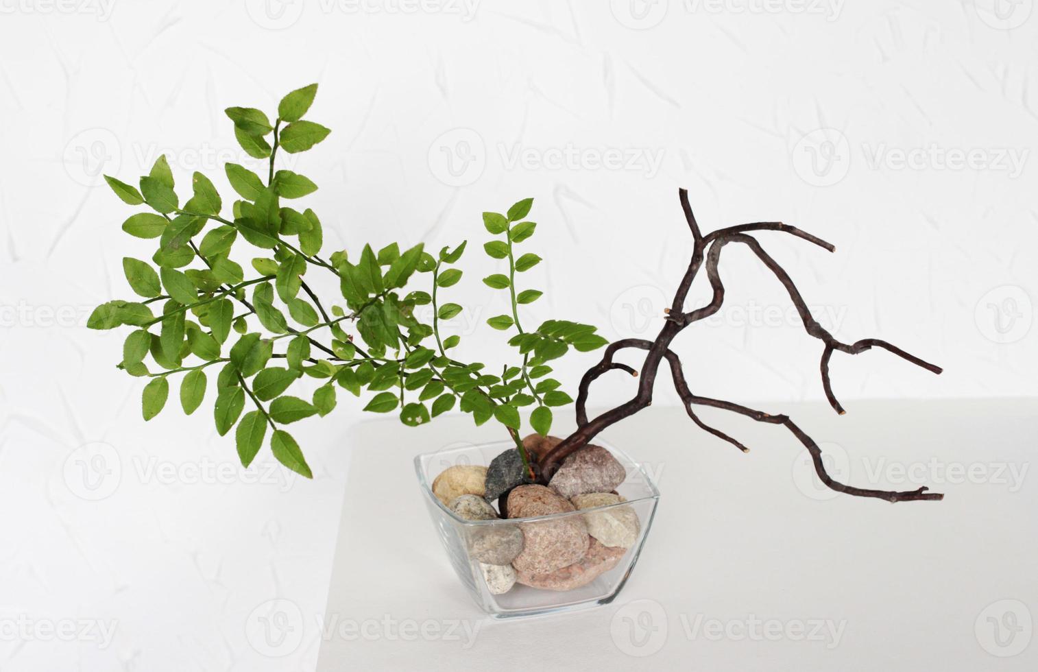 un ramo de flores en el chino estilo. árbol rama, arándanos, piedras, transparente cuadrado florero. minimalismo en el interior foto