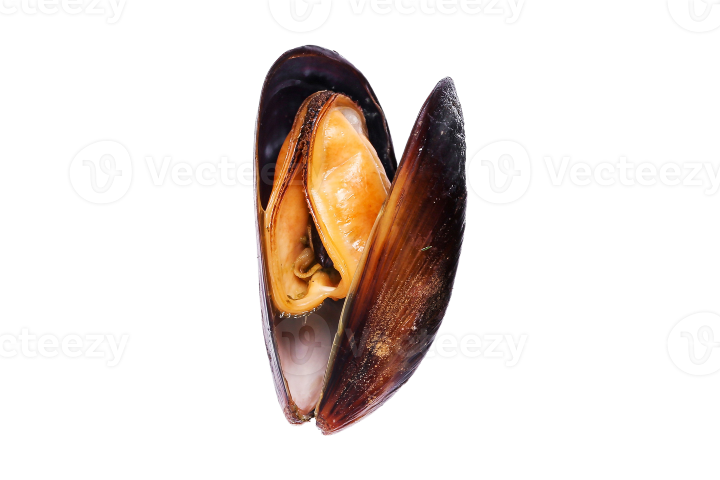 Oysters isolated on a transparent background png