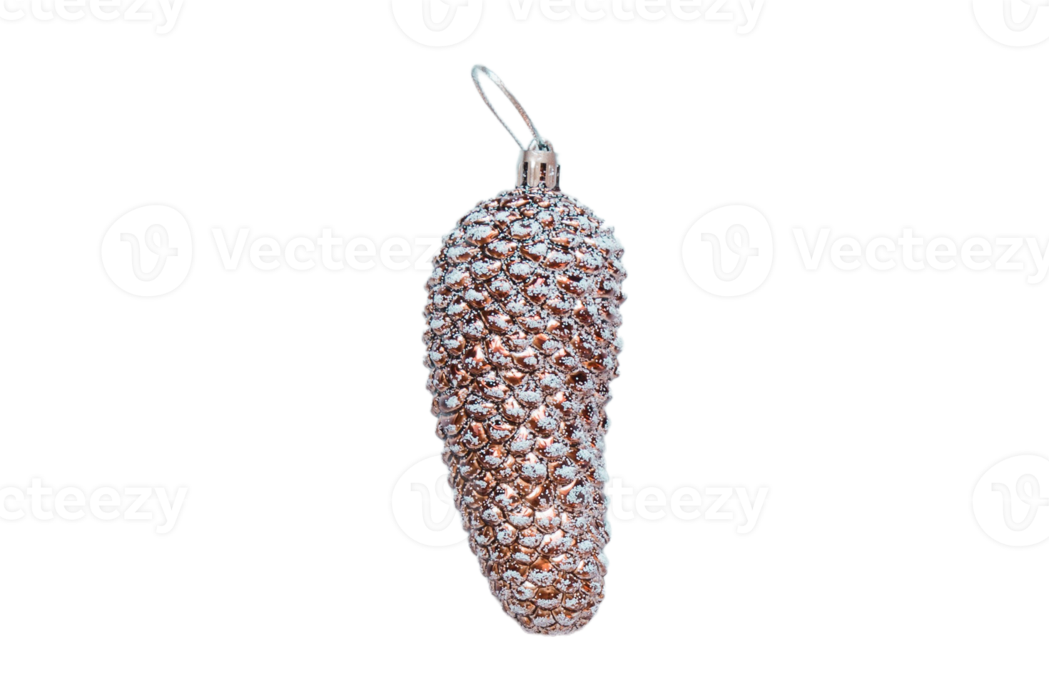 Pine cone isolated on a transparent background png