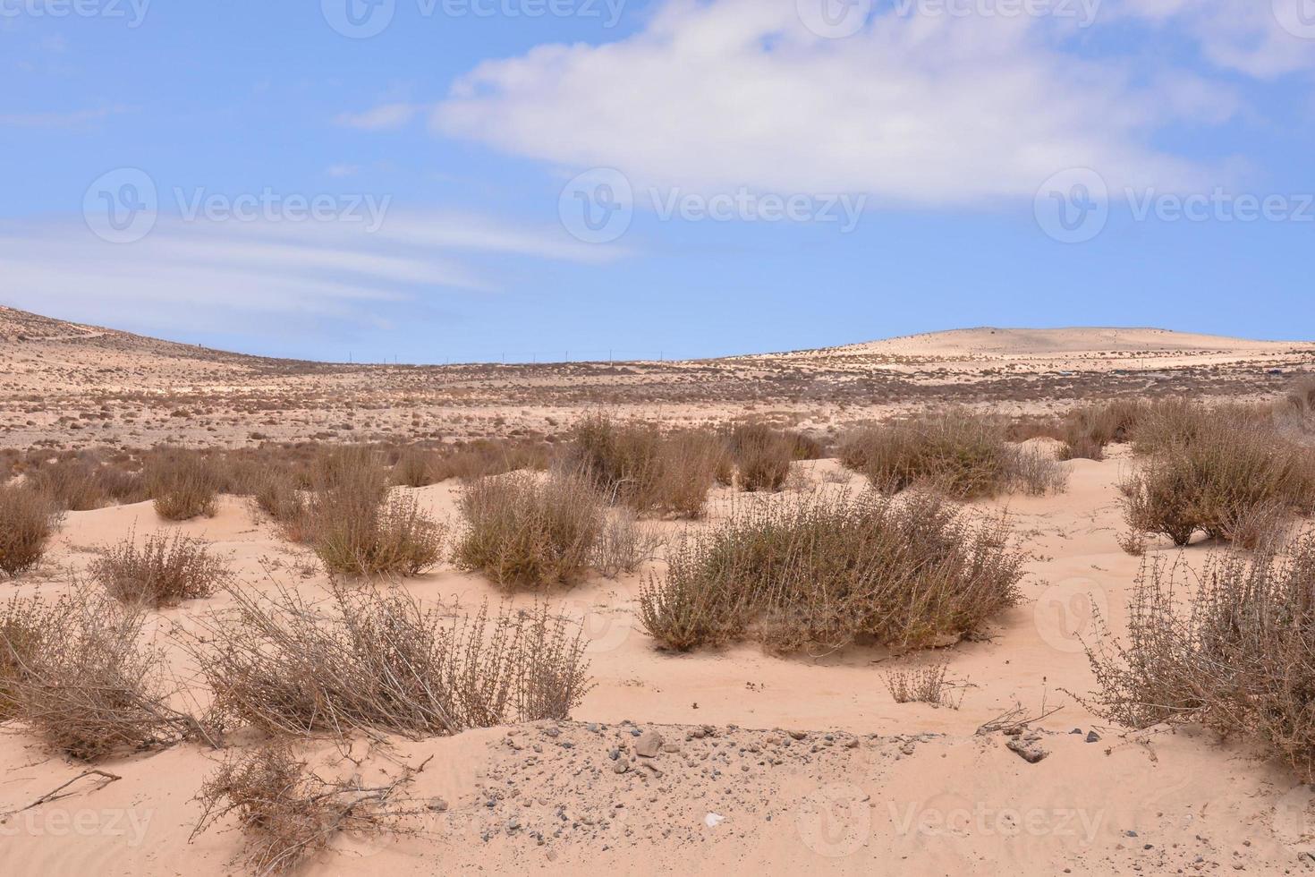 escénico rural paisaje foto