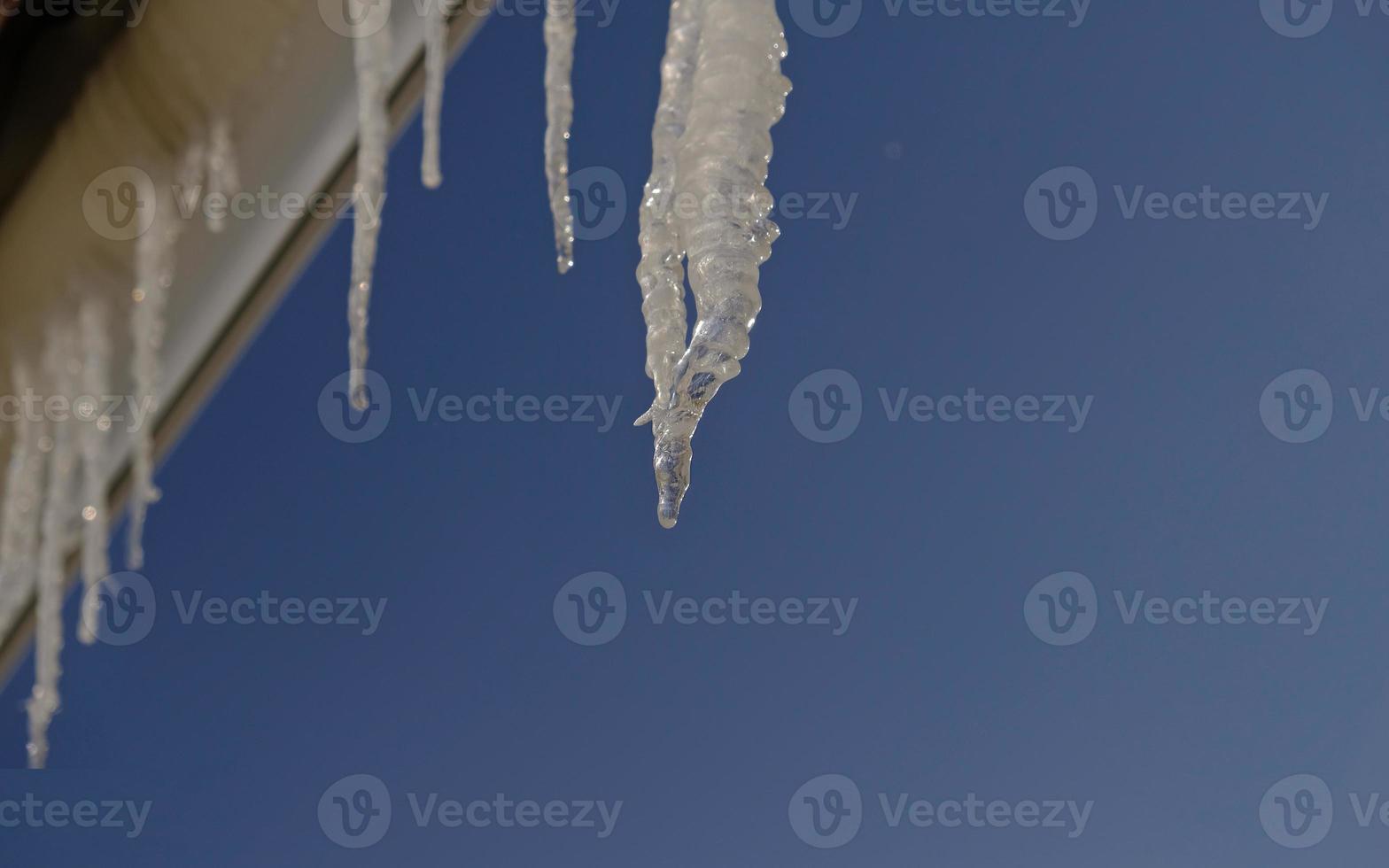 Spring drops falls down from long crystal melting icicles hanging down before clear blue sky on bright sunny thaw day. The concept of the beginning of spring, the end of winter, thaw. photo
