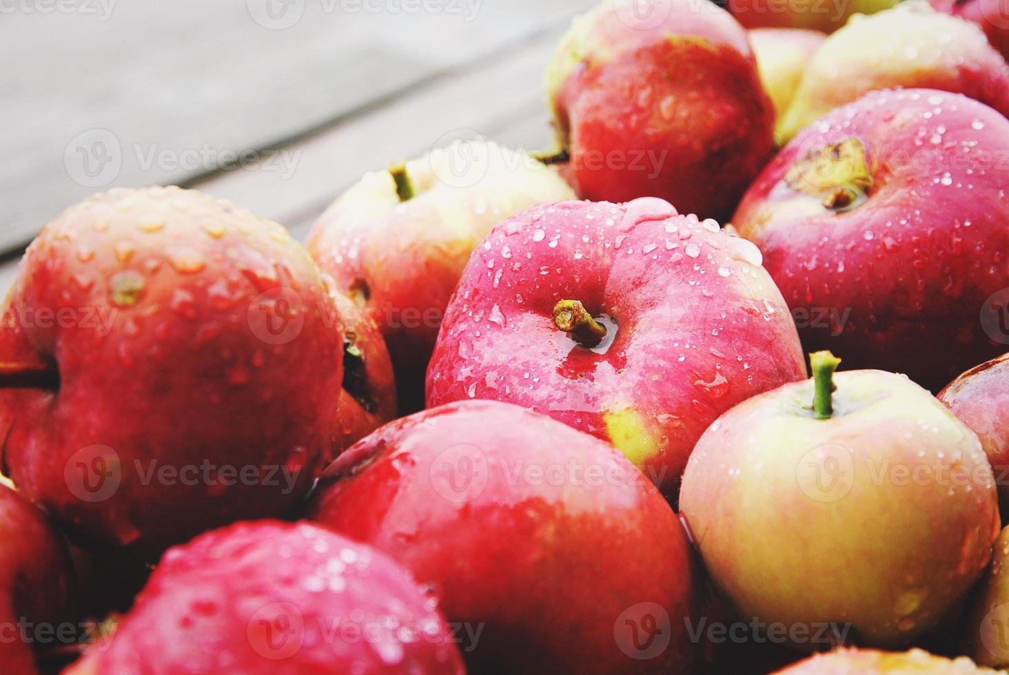 manzanas cosechado en orgánico casa jardín en otoño foto