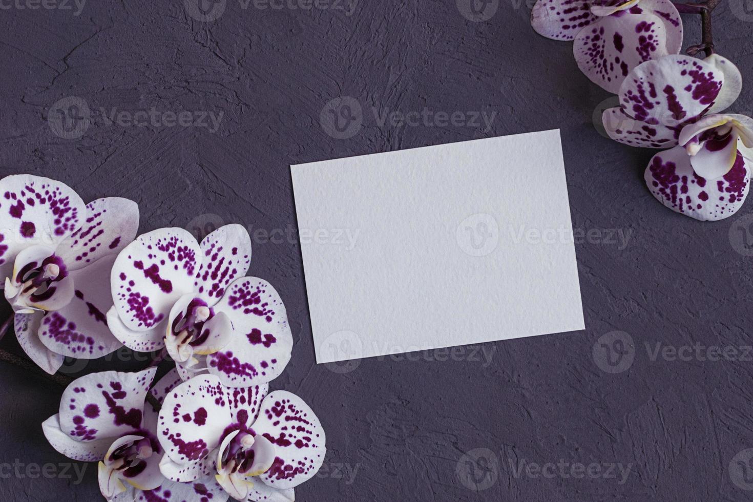 rosado y blanco orquídea flores con blanco papel tarjeta en oscuro gris antecedentes foto