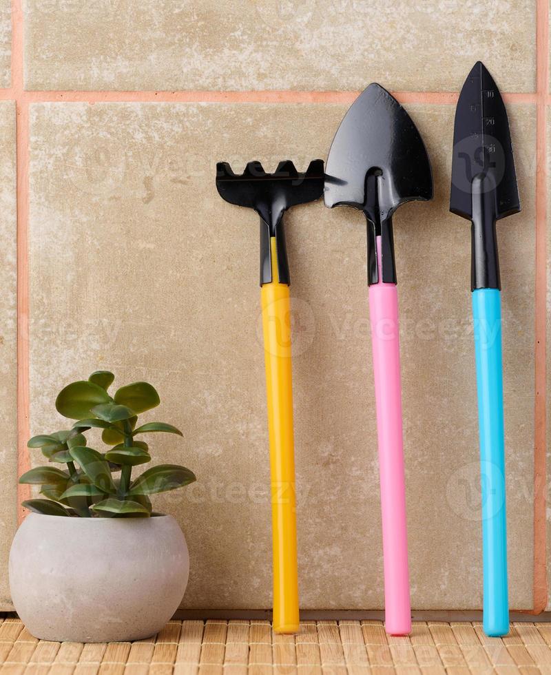 Miniature garden tools for transplanting plants, home hobby photo