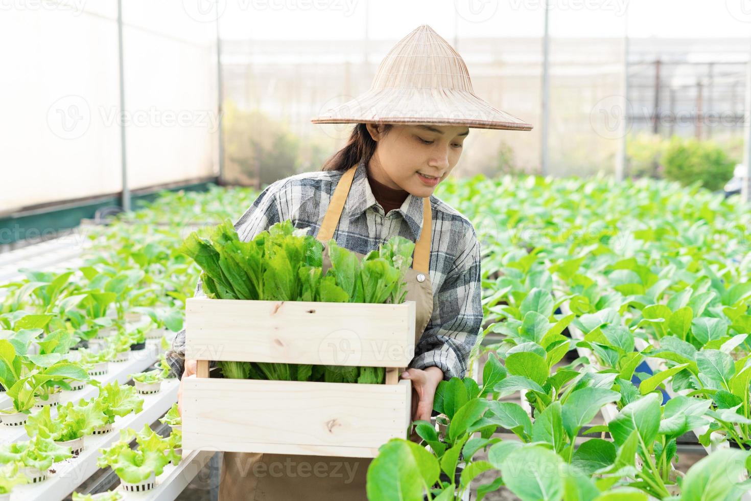 imagen de asiático hembra granjero en su hidropónico vegetal jardín foto