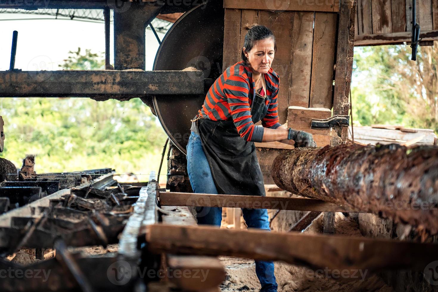 Woman in work clothes carrying a large log in a sawmill. photo