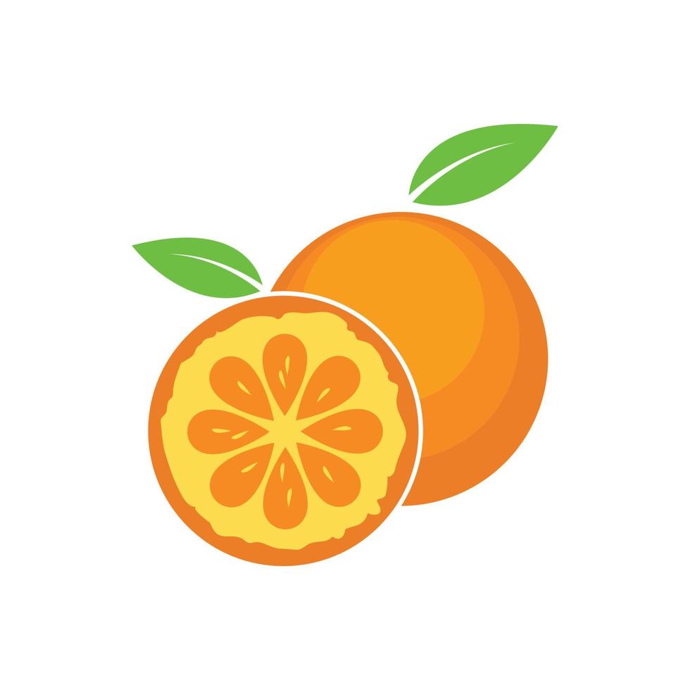 orange fruit icon vector logo illustration