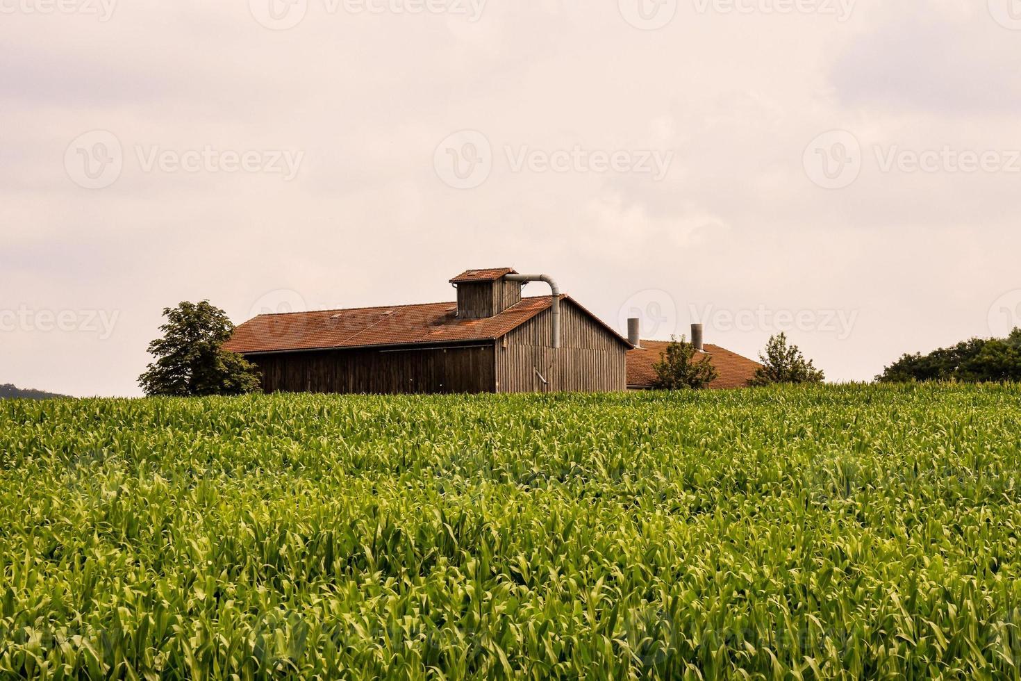 Scenic rural landscape photo