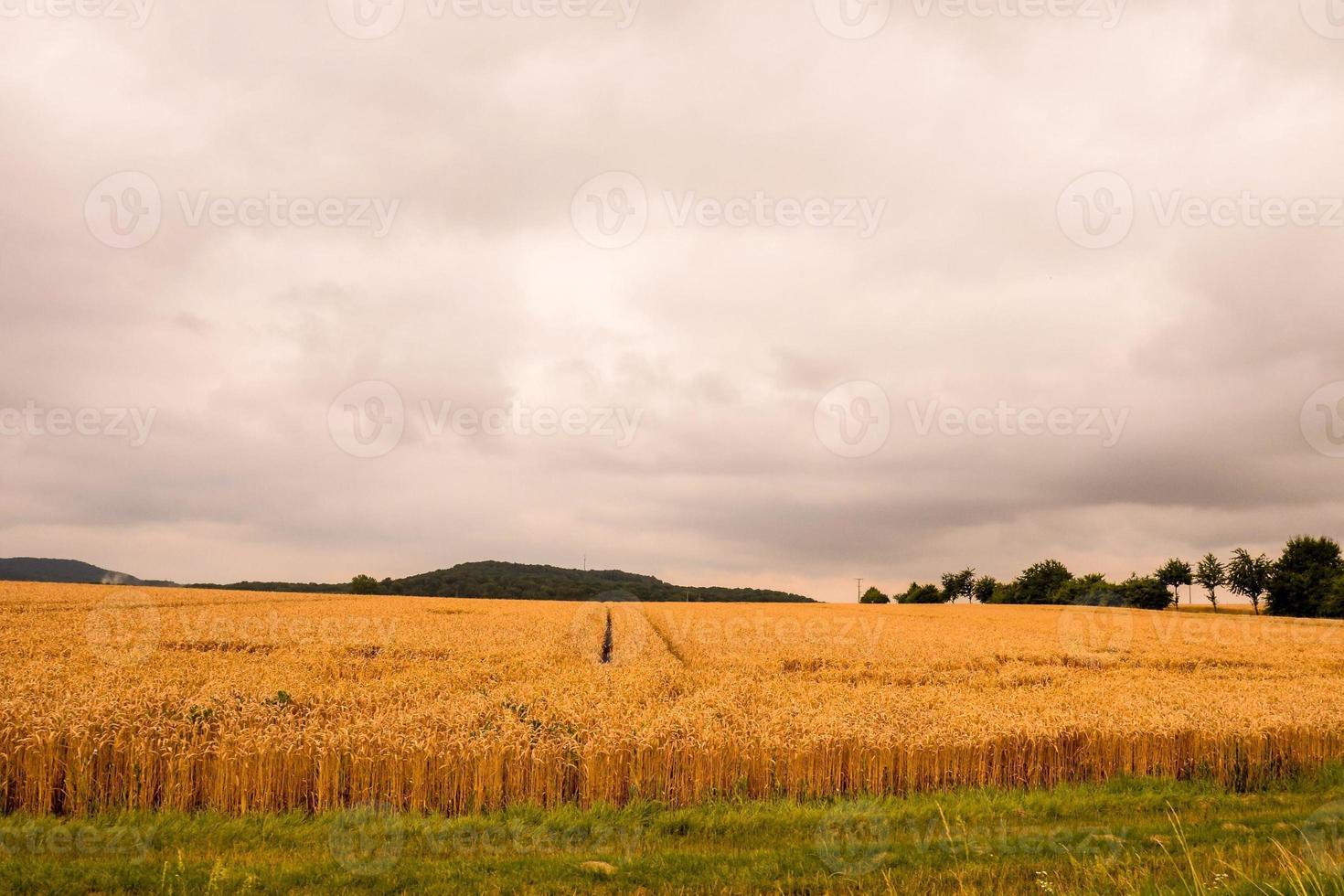 escénico rural paisaje foto