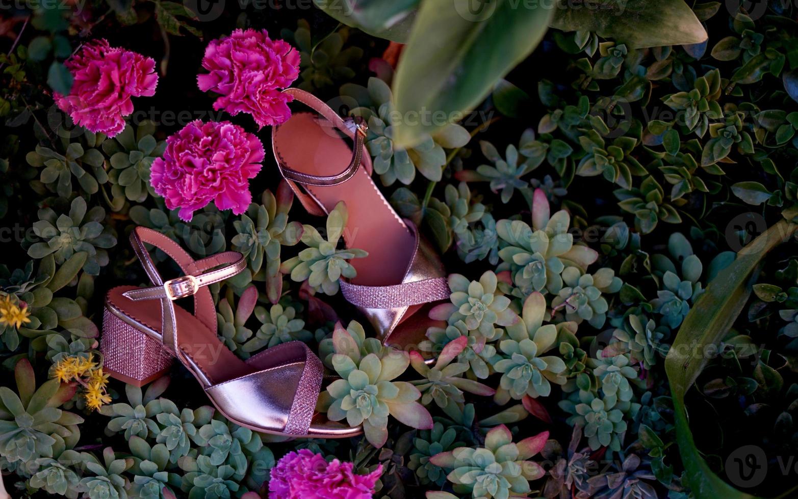 Pink womens sandals a footwear fashion summer photo