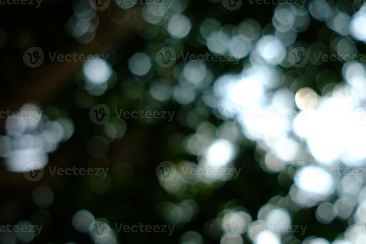 Abstract Nature Bokeh in Dark Tone, Suitable for Background, Backdrop, and Mock up. photo