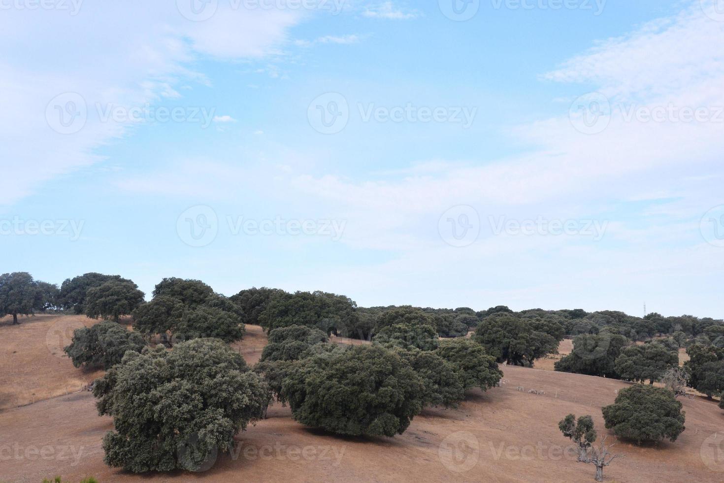 Scenic rural landscape photo