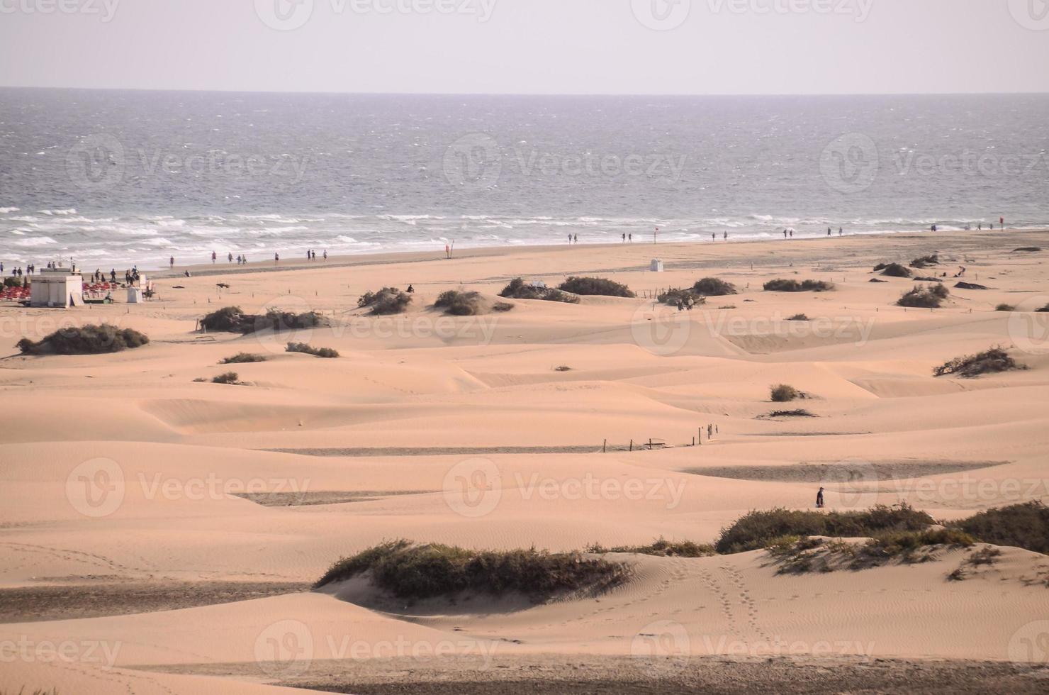 Scenic desert landscape photo