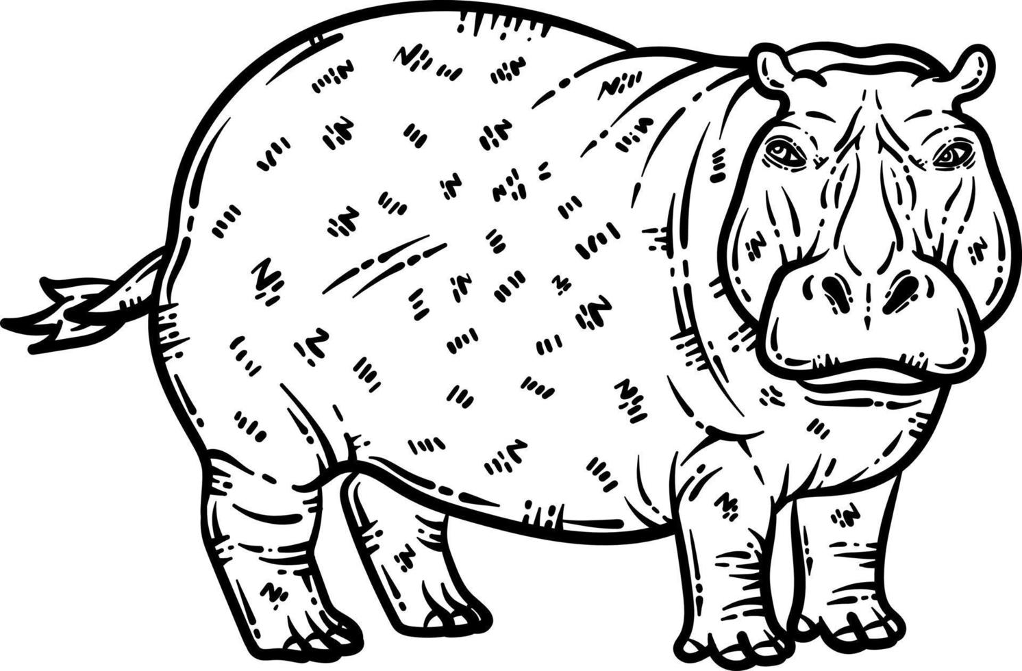 Hippo Animal Coloring Page for Adult vector