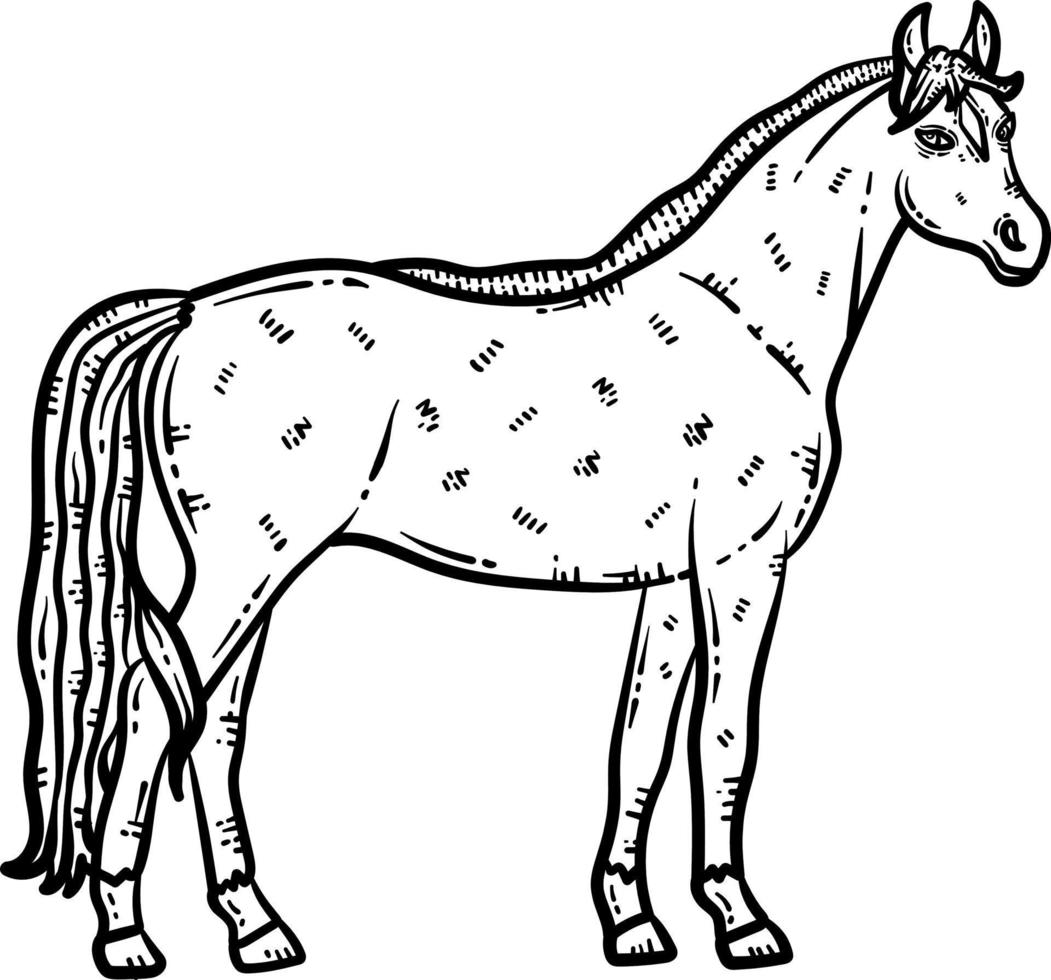 Horse Animal Coloring Page for Adult vector