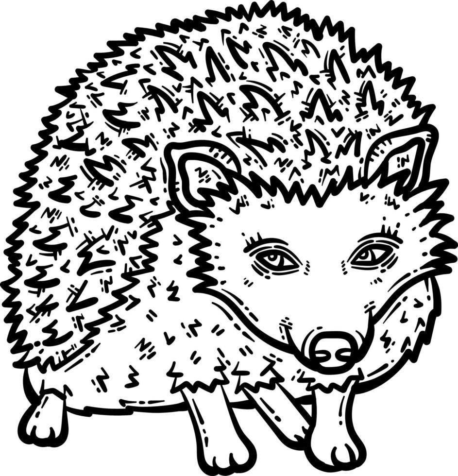 Hedgehog Animal Coloring Page for Adult vector