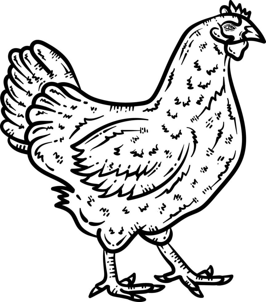 Chicken Animal Coloring Page for Adult vector