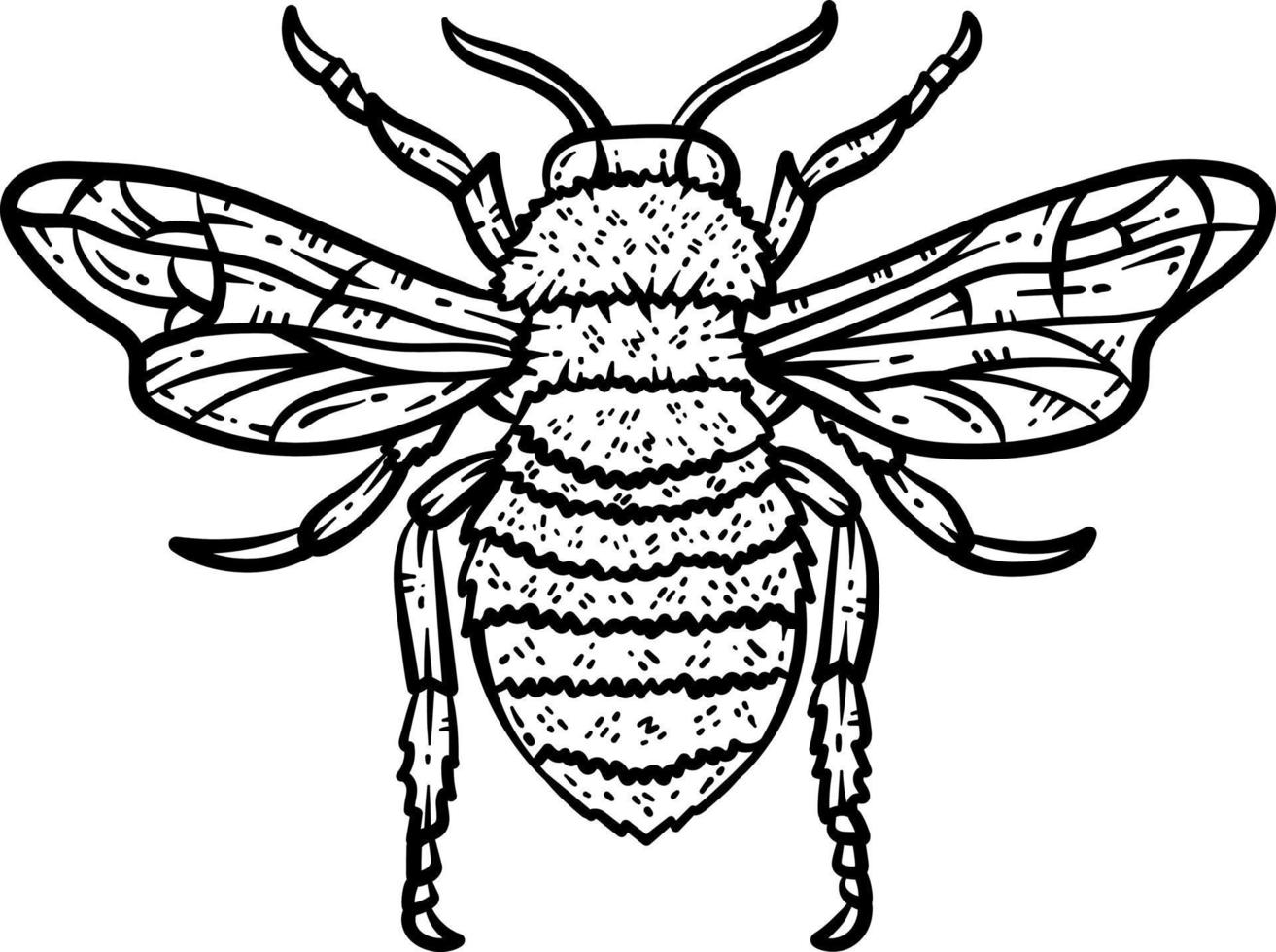 abeja animal colorante página para adulto vector