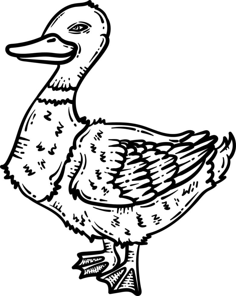 Duck Animal Coloring Page for Adult vector