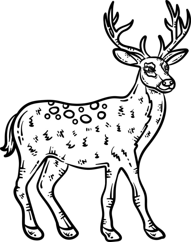 Deer Animal Coloring Page for Adult vector