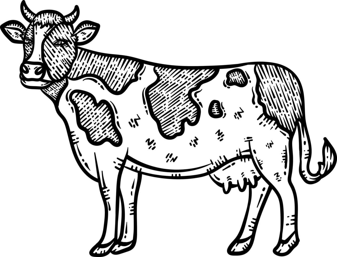 Cow Animal Coloring Page for Adult vector