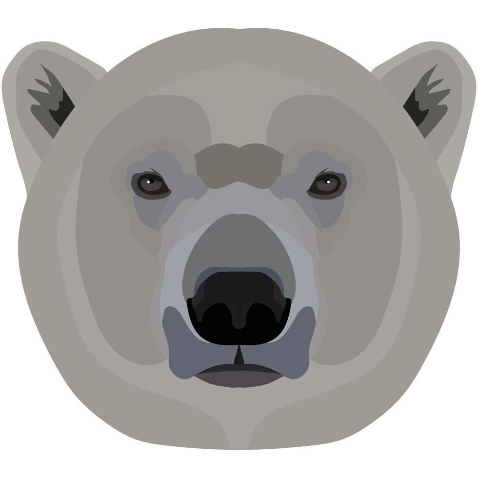 Polar bear. The face of the wild animal of Antarctica is depicted in vector style. Bright image of an animal. Logo, illustration isolated on white background.