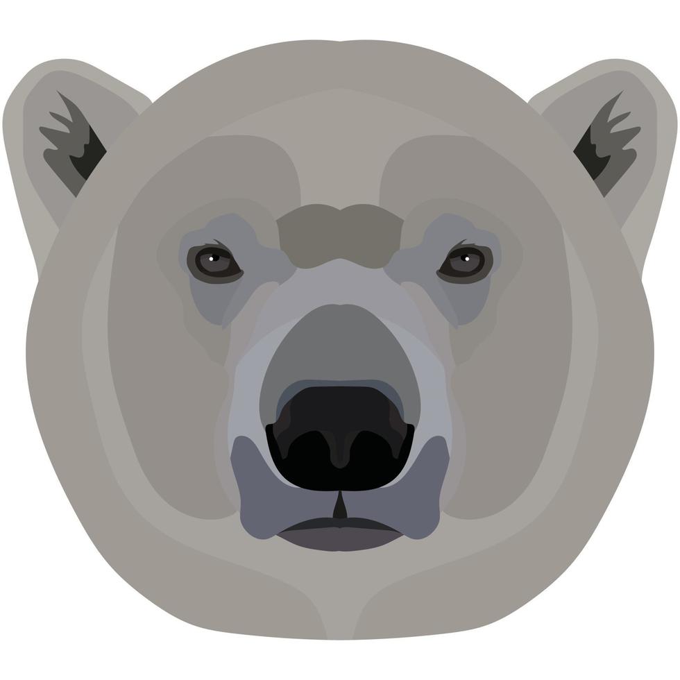 Polar bear. The face of the wild animal of Antarctica is depicted in vector style. Bright image of an animal. Logo, illustration isolated on white background.