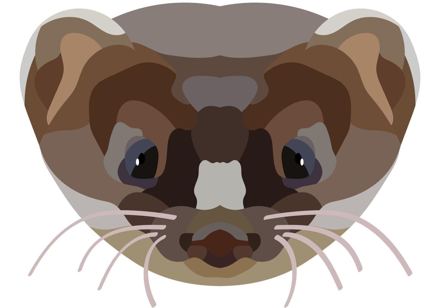 Mongoose. The face of a wild animal is depicted in vector style. Bright image. Logo, illustration isolated on white background.