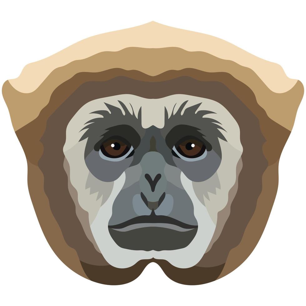 Gibbon. The face of the monkey is depicted in vector style. A vivid image of a primate. Logo, illustration isolated on white background.