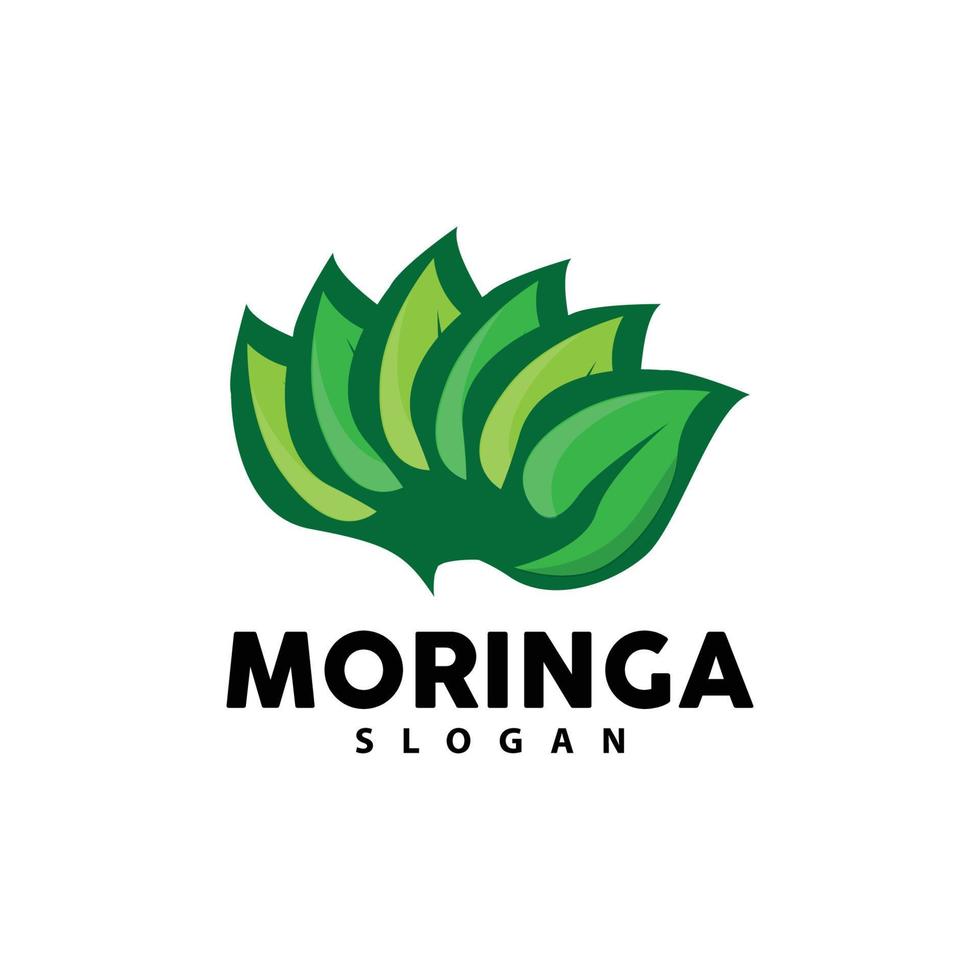 hoja logo, eco verde planta vector, verde tierra cuidado reciclaje diseño, moringa hoja logo icono modelo ilustración vector