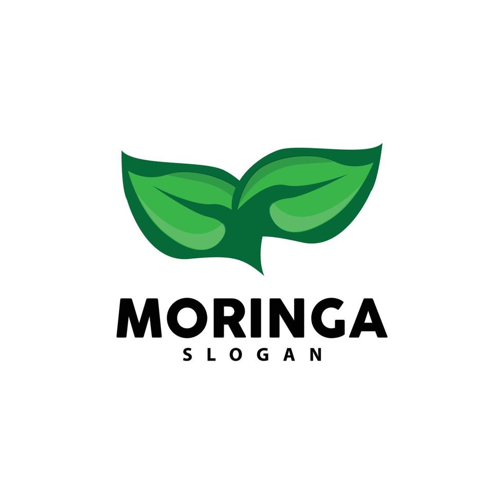 hoja logo, eco verde planta vector, verde tierra cuidado reciclaje diseño, moringa hoja logo icono modelo ilustración vector