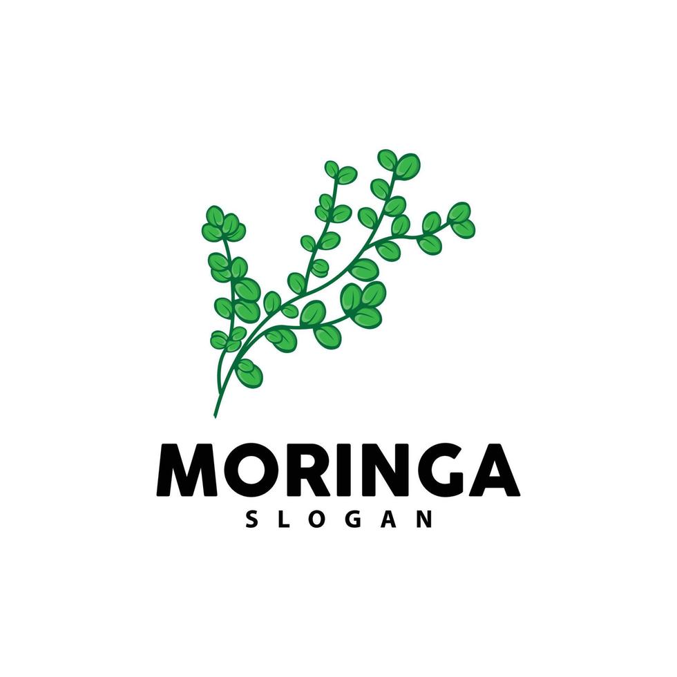 Leaf Logo, Eco Green Plant Vector, Green Earth Care Recycling Design, Moringa Leaf Logo Icon Template Illustration vector