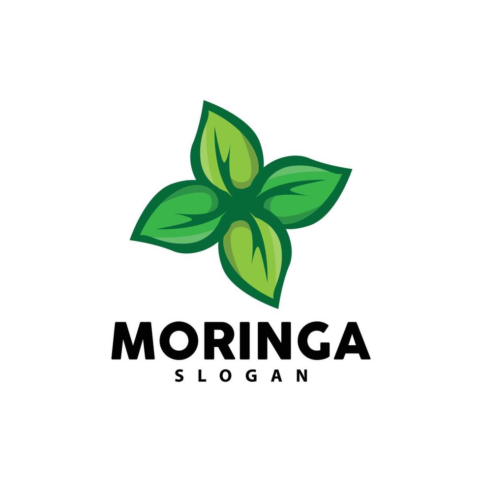 hoja logo, eco verde planta vector, verde tierra cuidado reciclaje diseño, moringa hoja logo icono modelo ilustración vector