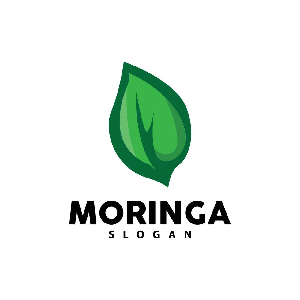 hoja logo, eco verde planta vector, verde tierra cuidado reciclaje diseño, moringa hoja logo icono modelo ilustración vector