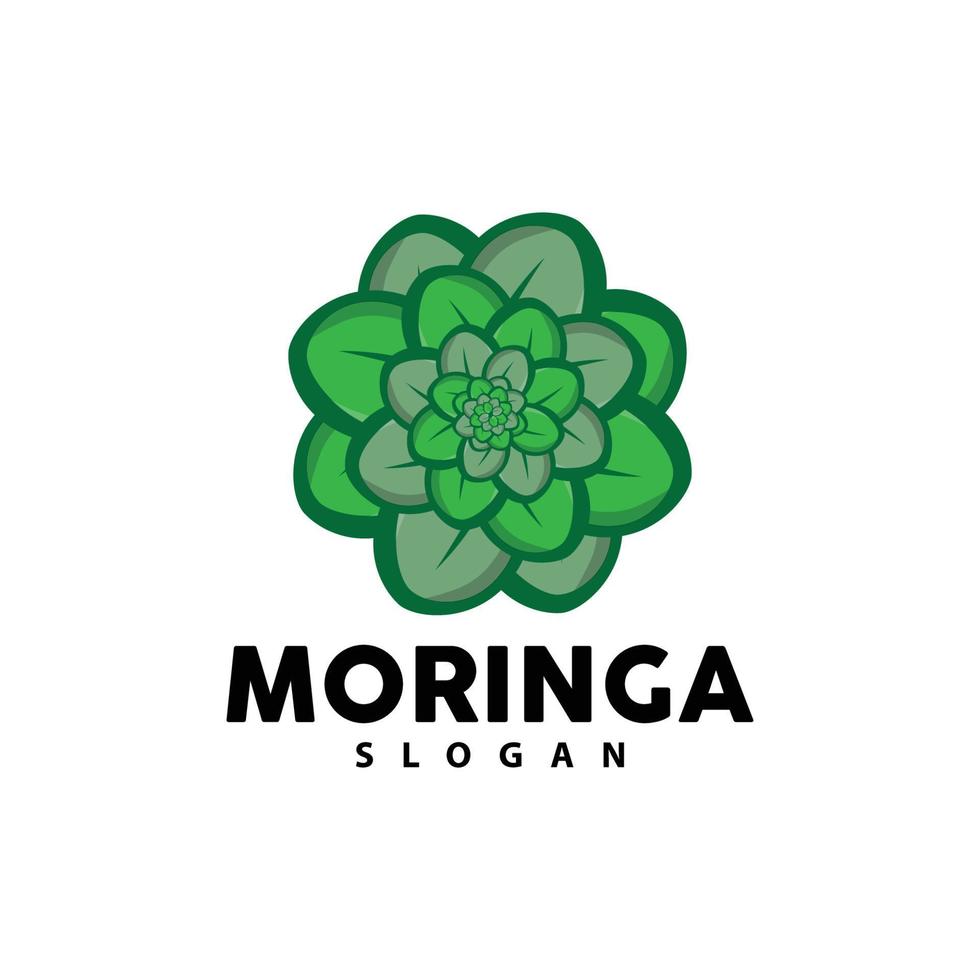 hoja logo, eco verde planta vector, verde tierra cuidado reciclaje diseño, moringa hoja logo icono modelo ilustración vector