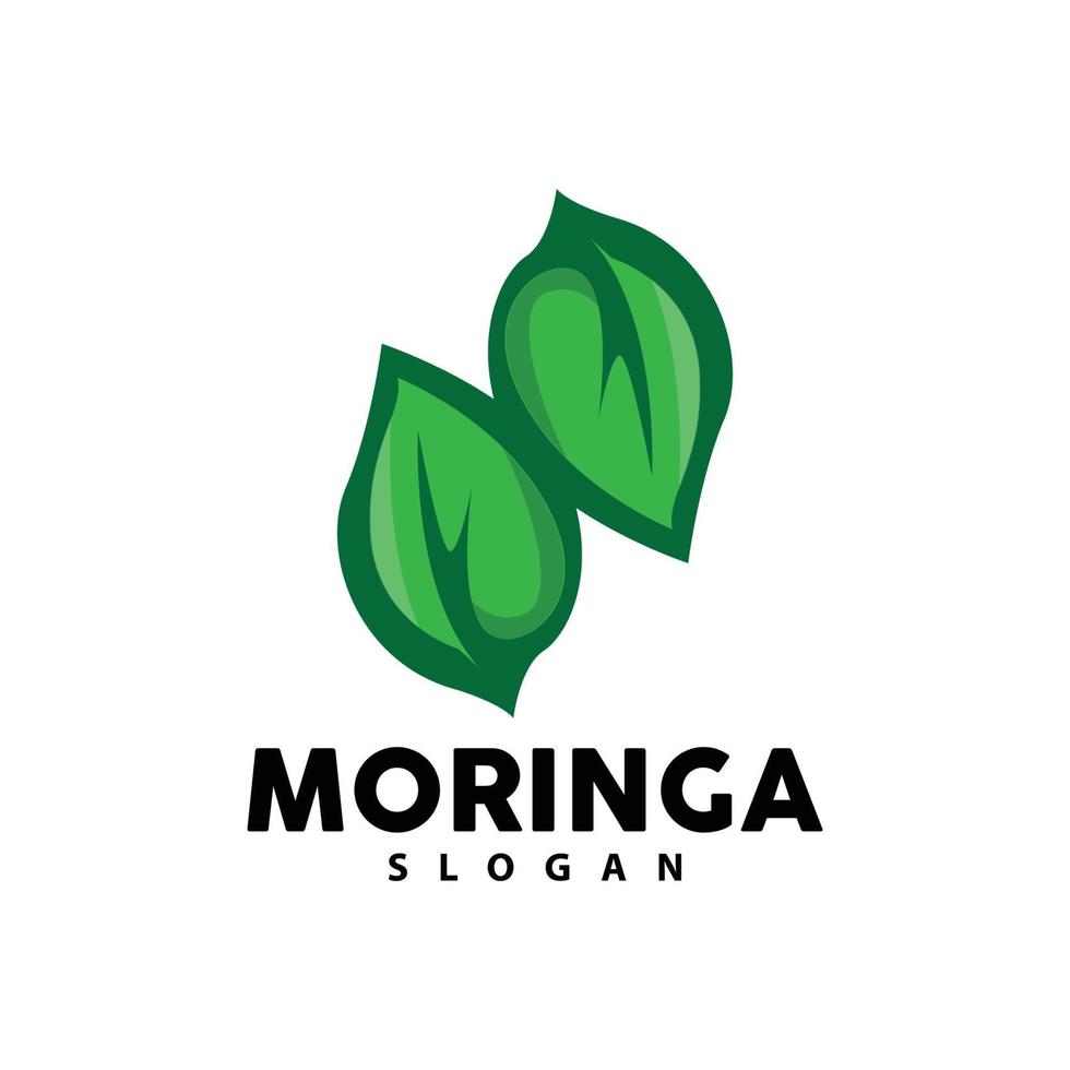 hoja logo, eco verde planta vector, verde tierra cuidado reciclaje diseño, moringa hoja logo icono modelo ilustración vector