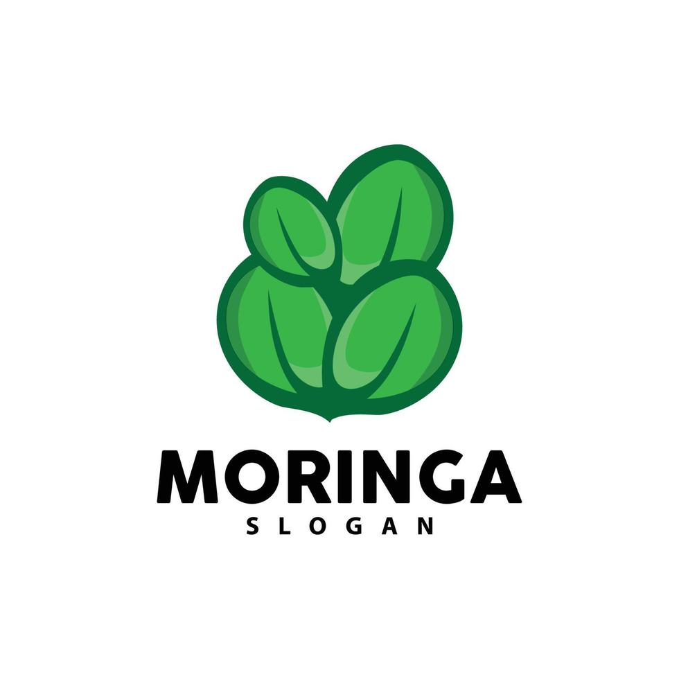 Leaf Logo, Eco Green Plant Vector, Green Earth Care Recycling Design, Moringa Leaf Logo Icon Template Illustration vector