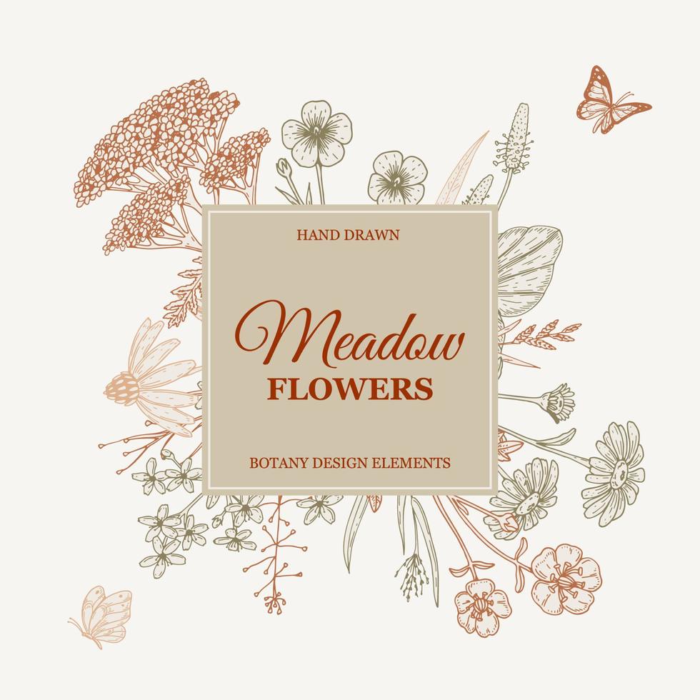 Meadow flowers frame. Hand drawn field wildflowers border. Vector illustration in sketch style. Aesthetic botany design for logo and packaging