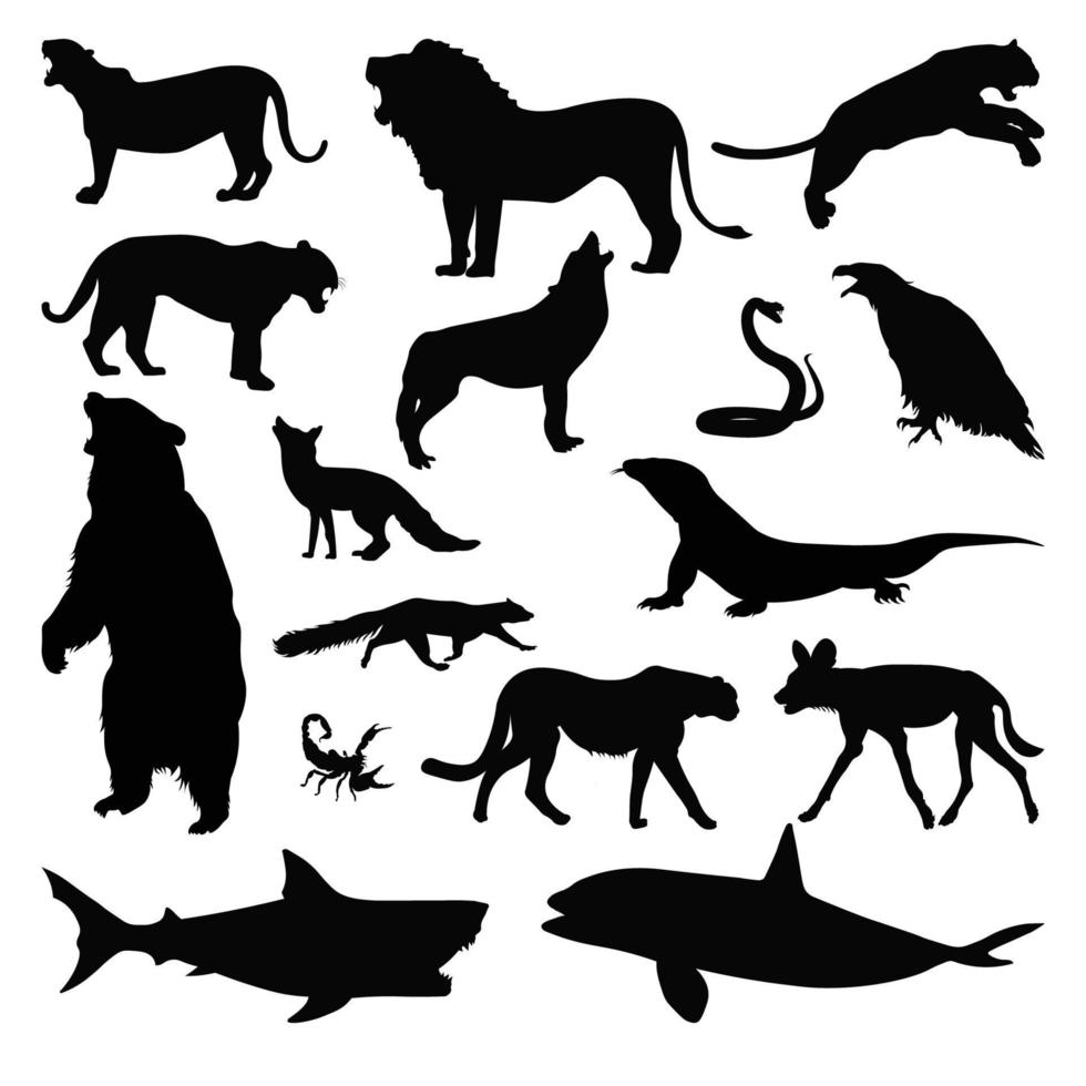 Collection of silhouettes of predatory animals vector